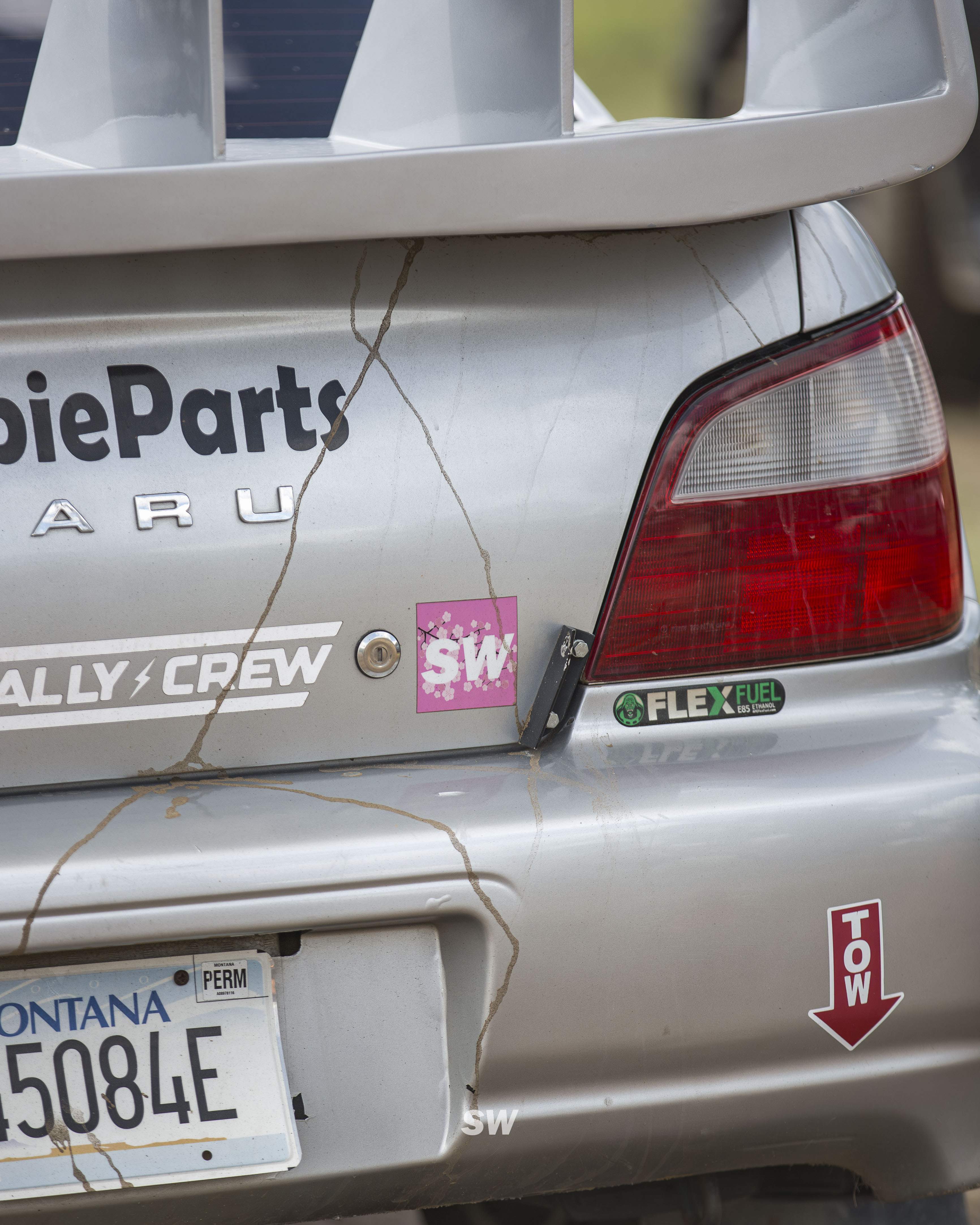 REFLECTIVE CHERRY BLOSSOM Sticker
